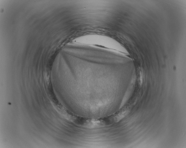 X0000062690607200601181952