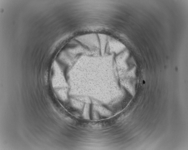 X0000062690640200601181951