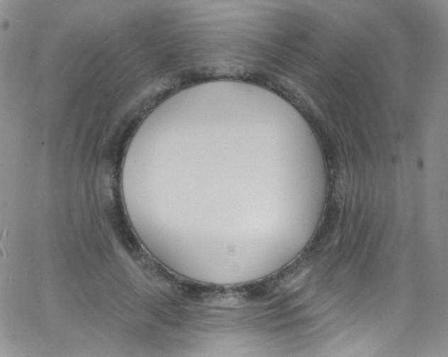X0000062690643200601181951