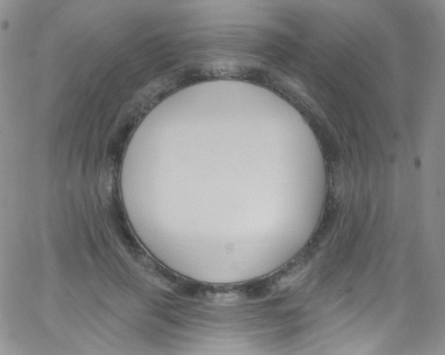 X0000062690645200601181951