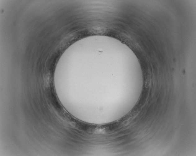 X0000062690647200601181952