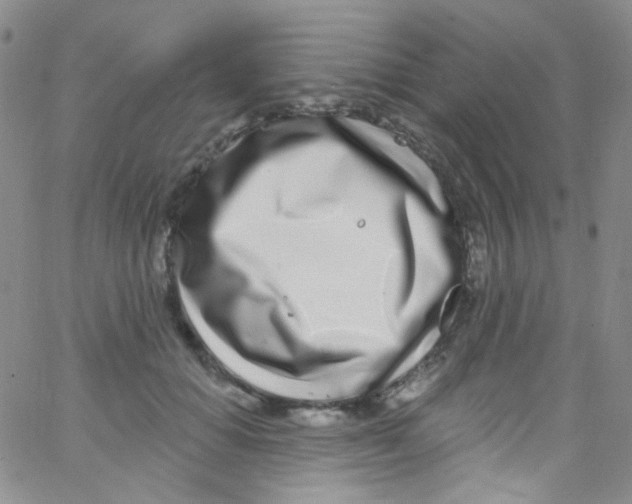 X0000062690654200601181952