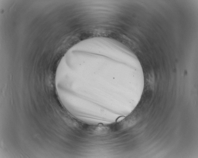 X0000062690663200601181952