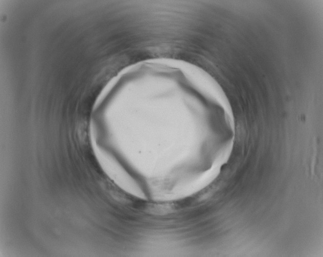X0000062690671200601181952