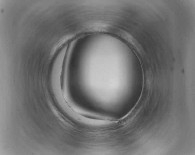 X0000062690677200601181951