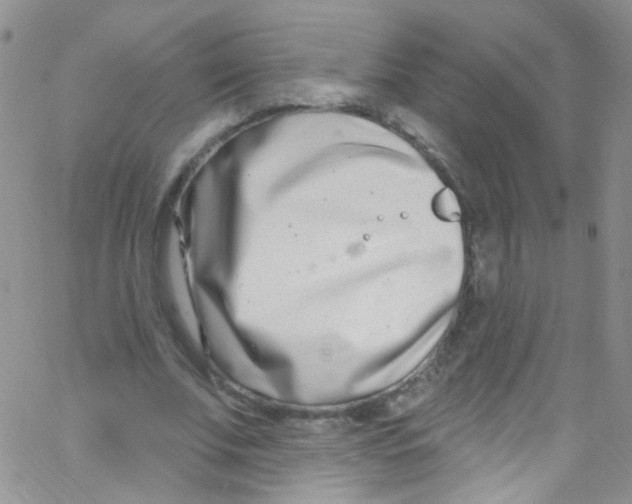 X0000062690679200601181951