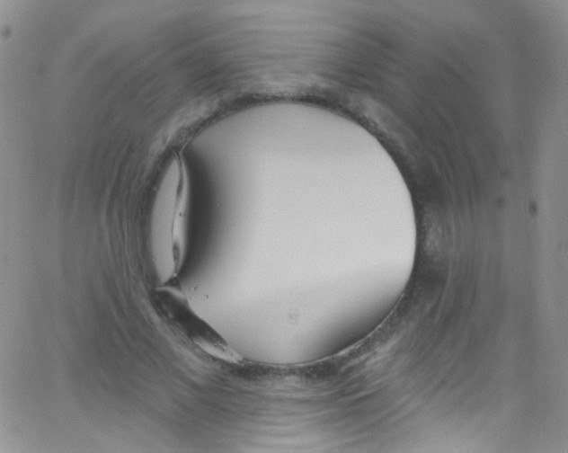 X0000062690685200601181951