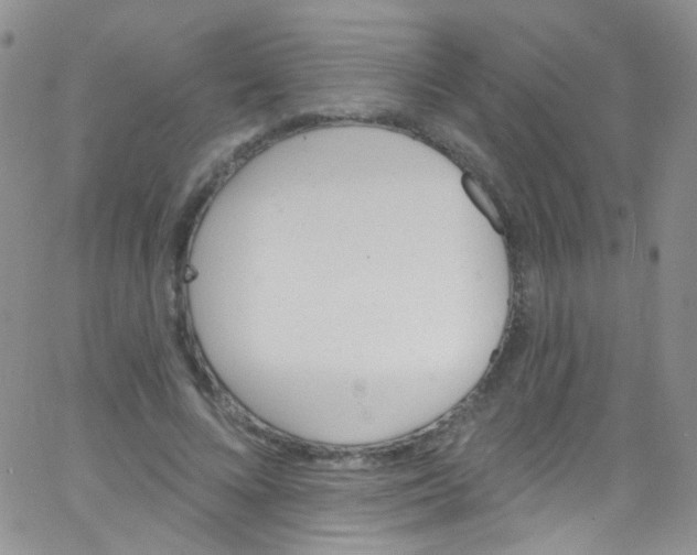 X0000062690688200601181951