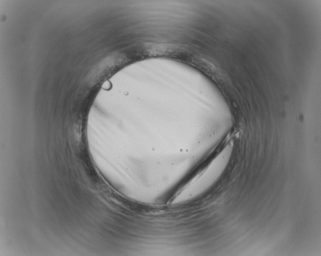 X0000062690691200601181951