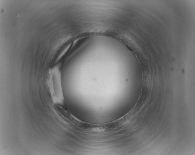 X0000062690692200601181951