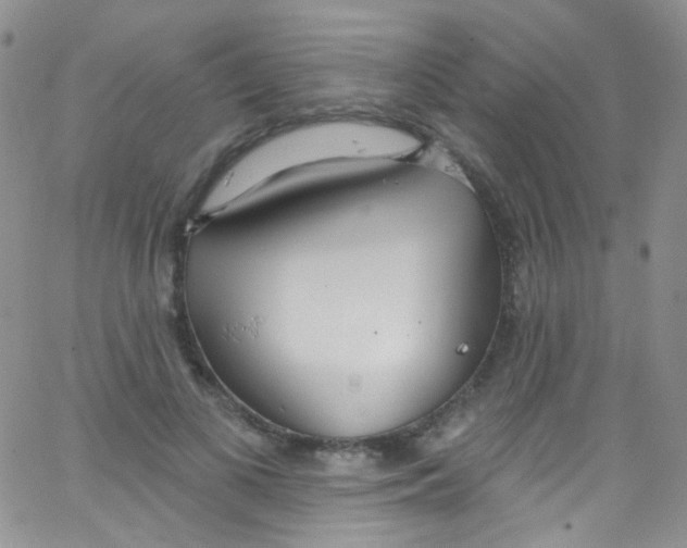X0000062690693200601181951