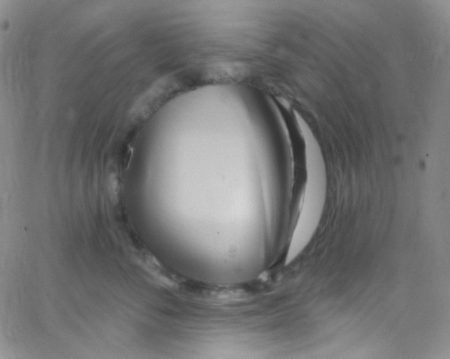X0000062690716200601181950