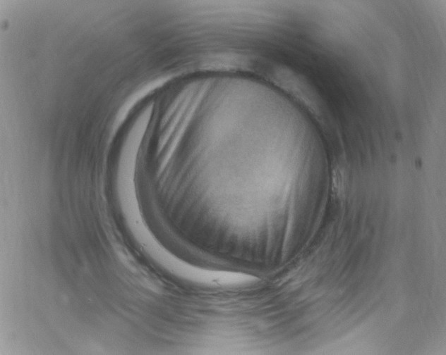 X0000062690724200601181950