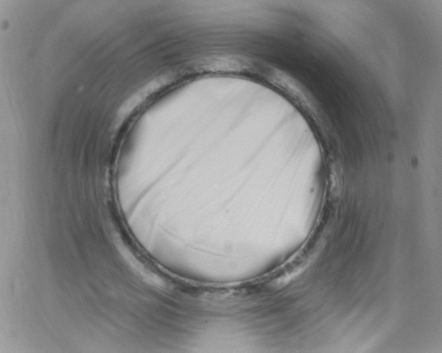 X0000062690725200601181950