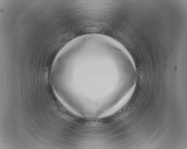 X0000062690745200601181950