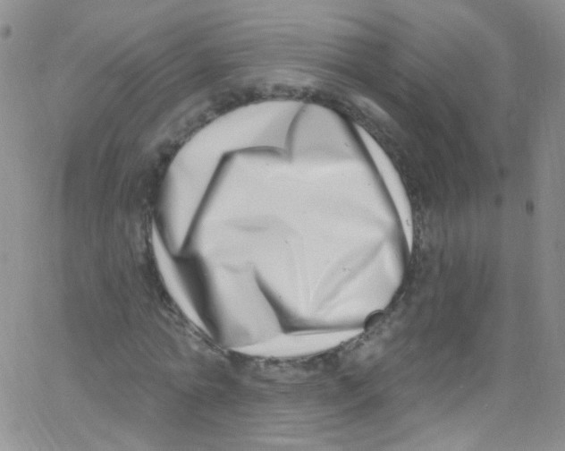 X0000062690774200601181949