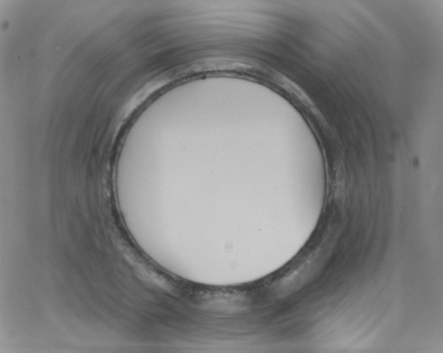 X0000062690786200601181949