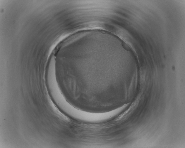 X0000062690797200601181949