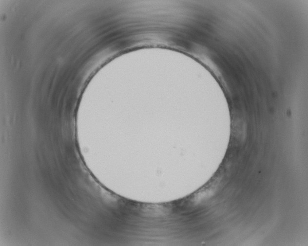 X0000062690807200601181949