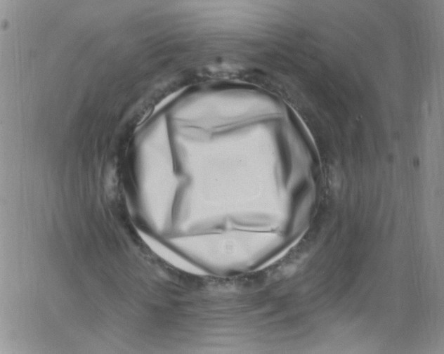 X0000062690818200601181948