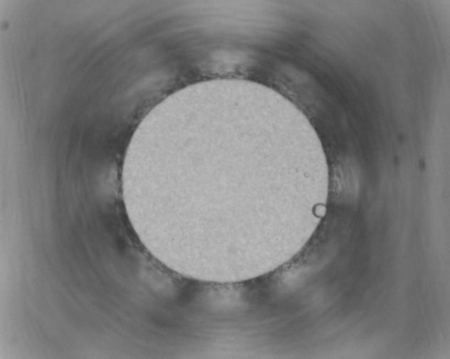 X0000062690820200601181948