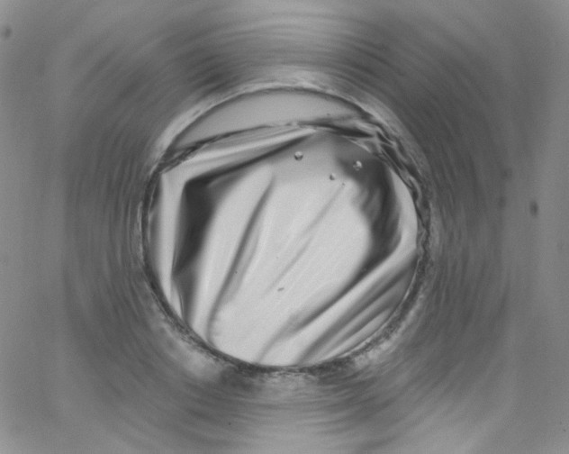 X0000062690842200601181948