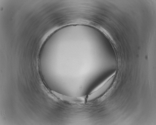 X0000062690854200601181949