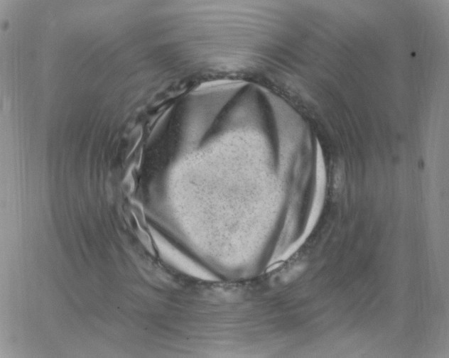 X0000062690868200601181948