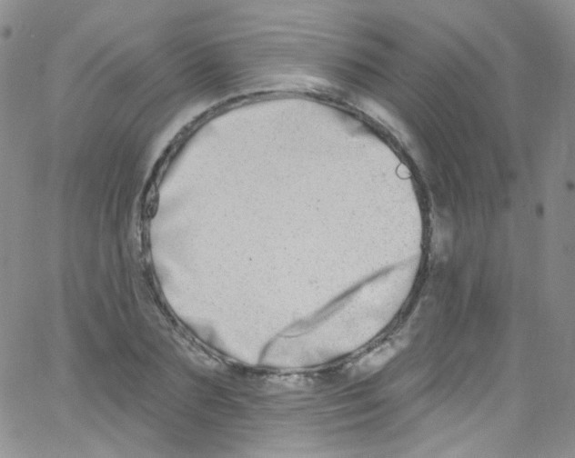 X0000062690883200601181948