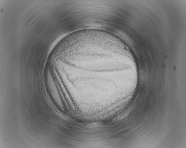 X0000062690891200601181947