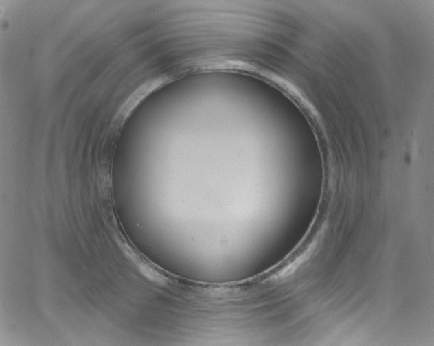 X0000062690897200601181947