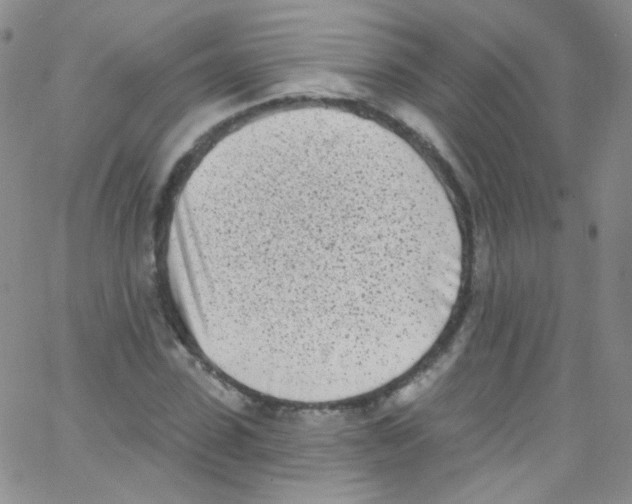 X0000062690923200601181947