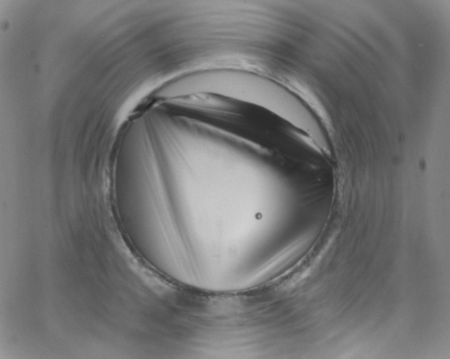X0000062690944200601181947