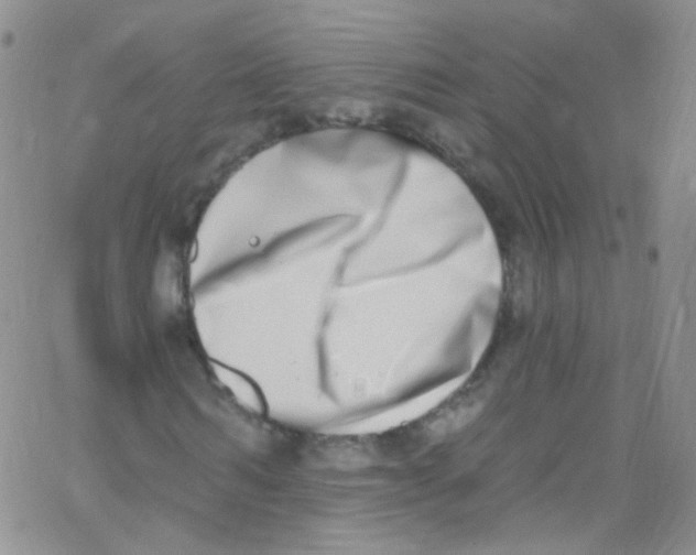 X0000062690962200601181946