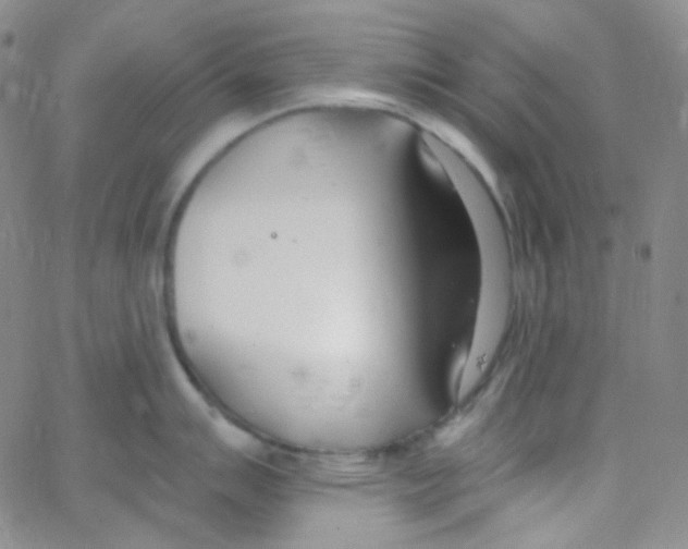 X0000062691007200601181946