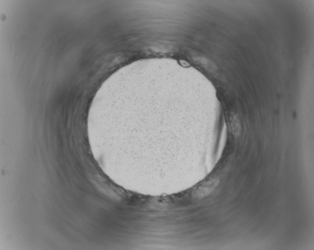 X0000062691009200601181945