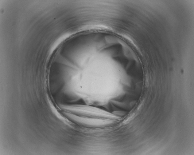 X0000062691038200601181945