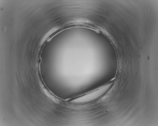 X0000062691042200601181945