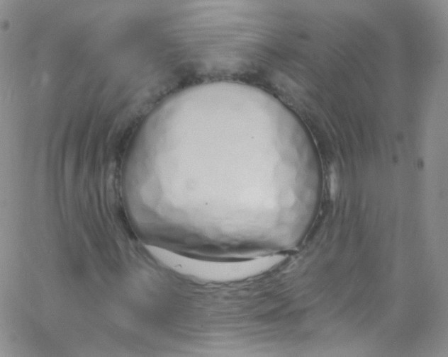 X0000062691059200601181945