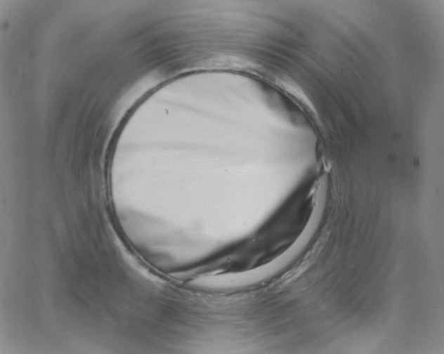 X0000062691087200601181944