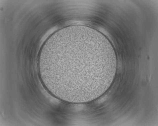 X0000062691090200601181944