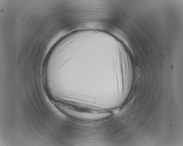 X0000062691091200601181944