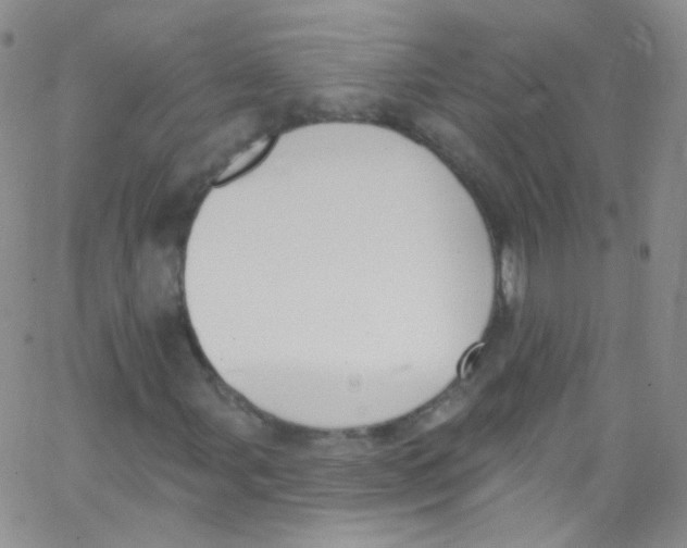 X0000062691107200601181943