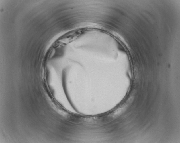 X0000062691125200601181944
