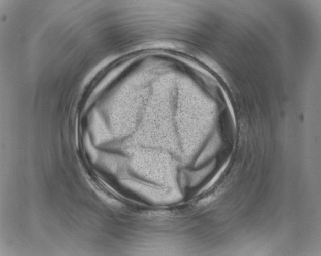 X0000062691127200601181944