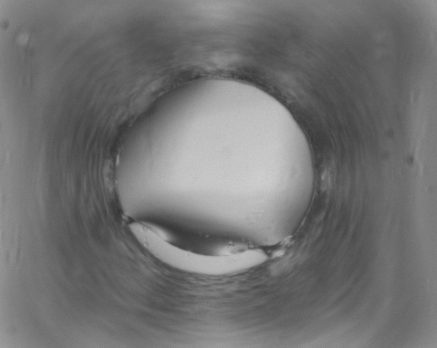 X0000062691156200601181943