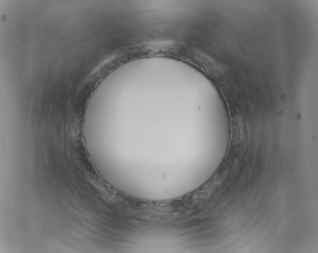 X0000062691158200601181943