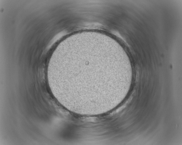 X0000062691211200601181942