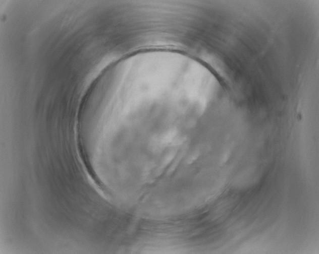 X0000062691237200601181942