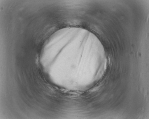 X0000062691251200601181942